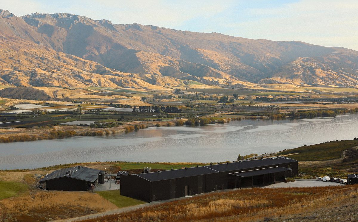 Scapegrace distillery